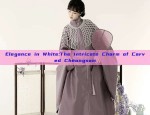 Han Shang Hua Lian Hanfu and Zhong Ling Ji:Exploring the Essence of Traditional Chinese Clothing