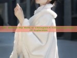 Splendor of Blue Ming-Style Hanfu:Unveiling the Cultural Richness of Traditional Chinese Clothing