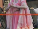 The Splendor of Ming-Style Hanfu:Womens Horseface Skirt Ensemble