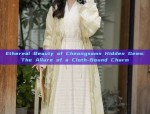 The Original 24-Hour Hanfu Fashion:A Journey Through Time and Tradition