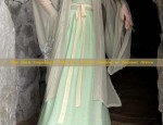 A Review on the Sleeveless Horseface Skirt