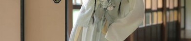 The Elegance of a Dark Blue Horseface Skirt in Traditional Chinese Fashion