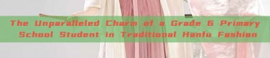 The Unparalleled Charm of a Grade 6 Primary School Student in Traditional Hanfu Fashion