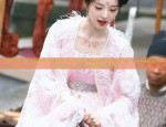 Original Authentic Ming Dynasty Hanfu Costumes:A Journey Through Time