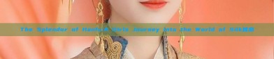 The Splendor of Hanfu:A Girls Journey into the World of Silk披帛