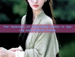 Daily Life in Original Hanfu Fashion:Exploring the South Pavilions Unique Style