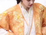 The Revival of Hanfu Culture:Exploring the Elegance of Han Elements in Skirt Design