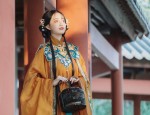 The Splendor of Hanfu Jade Pendants and Tassel Decorations