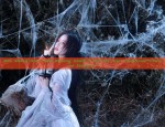 Han Shang Hua Lians Qixiong Hanfu:A Journey into Traditional Chinese Elegance