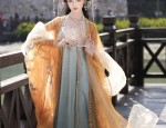 Traditional Chinese-Style Tang Suit Jacket:A Blend of Heritage and Modernity