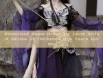 The Rising Popularity of Hanfu Fashion for Children