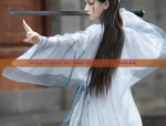 Winter Fashion for Adult Chinese-Style Hanfu女装