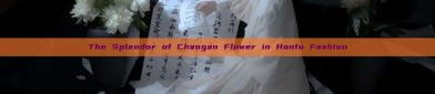 The Splendor of Changan Flower in Hanfu Fashion