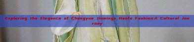 Exploring the Elegance of Changyue Jinmings Hanfu Fashion:A Cultural Journey