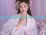 The Splendor of Traditional Chinese Fashion at Jimi Hanfu Shop