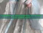 Embroidery on Hanfu Robes:The Art of Drying-off Hooded Robes