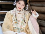 Qingyuan Original Hanfu:Unveiling the Essence of Traditional Chinese Fashion
