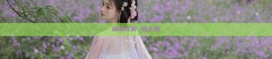团扇汉服 破云扇