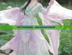 The Register of Hanfu:Unraveling the Enigma of Traditional Chinese Fashion