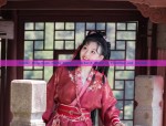 Winter Ming-Style Hanfu Collared Jacket:A Blend of Tradition and Warmth