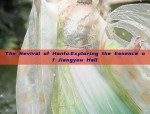 The Revival of Hanfu:Exploring the Essence of Jiangyou Hall