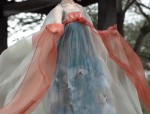 Traditional Hair Ornamentry:Exploring the Complete Set of Ancient Chinese Hanfu with Hair Combs