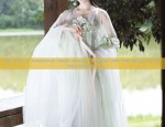 The Girl in Traditional Hanfu Shoes:A Glimpse into the World of Ancient Elegance