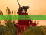 Three-Year-Old Hanfu-Wearing Girl:The Splendor of Traditional Chinese Child Fashion