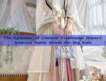 Fei Yu Lou Original Ming-Style Hanfu Dress for Women:A Blend of Ancient Elegance and Modern Charm