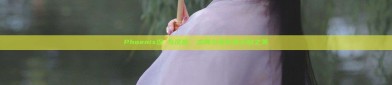 Phoenix涅槃与汉服，古典与现代的交融之美