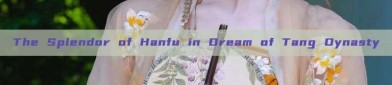 The Splendor of Hanfu in Dream of Tang Dynasty