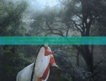 The Splendor of De Yun Shes Hanfu:A Journey into Traditional Chinese Culture and Fashion