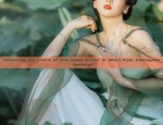 Authentic Hanfu Gowns for Women:Embracing the Ancient Beauty of Traditional Chinese Fashion