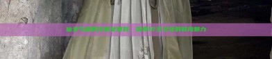 仙女气质的汉服女夏装，探索12岁少女的时尚魅力