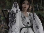 The Charm of Shanhe Style:Exploring the Elegance of Wen Kexiangs Traditional Hanfu Fashion