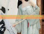 A Complete Guide to Traditional Hanfu Headwear for Women:The Splendid Red Zhaozhaos Wish