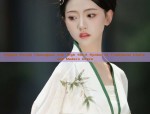 The Rise of Hanfu Fashion:The Enchanting World of汉服女（汉服女子）