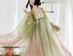 The Splendor of Hanfu Fashion:A Chiffon Blouse Story