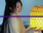 Adult Hanfu Headdress:A Journey into Traditional Chinese Headwear