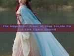 The Magnificent Armor of Zhao Yun,the Fierce Five Tigers General