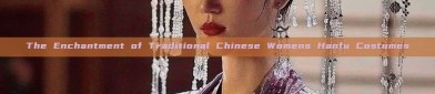 The Enchantment of Traditional Chinese Womens Hanfu Costumes