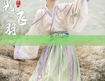 Vivid Cheongsam:Embracing the Splendor of Traditional Chinese Fashion in a Modern Context