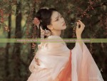 The Rise of Hanfu Decorations:Exploring the World of Traditional Chinese Fashion Accessories