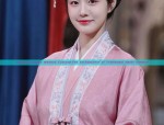 Ancient Chinese Womens Costume:The Enchantment of Traditional Hanfu Fashion