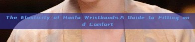 The Elasticity of Hanfu Wristbands:A Guide to Fitting and Comfort