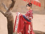 Reimagining Traditional Hanfu as a Modern Toast Robe:A Journey of Evolution and Revival