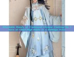 Affordable Beauty of Traditional Chinese Clothing:The Charm of Chest-High Hanfu at a Babbage Price