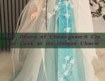 The Allure of Cheongsam:A Closer Look at its Unique Charm