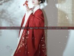 Adult Hanfu New Years Robes:A Blend of Tradition and Modernity