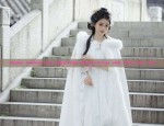 Hanfu Fashion:The Rising Popularity of Womens Hanfu Half-Sleeve Styles